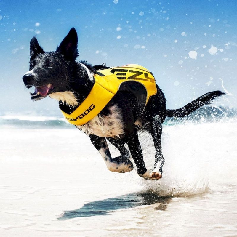 DFD X2 Boost - Gilet de sauvetage pour chien