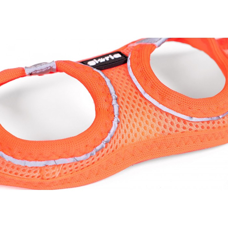 Colete/Vestido para Cães Gloria Air Mesh Trek Star Laranja