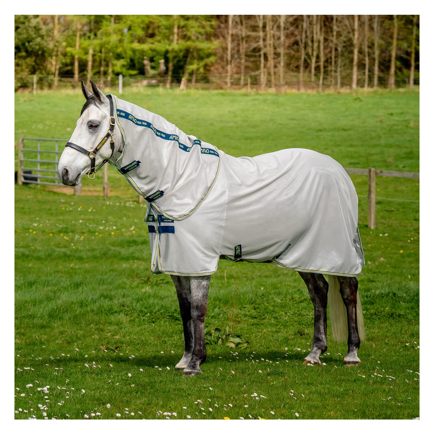 HORSEWARE Fliegendecke AMIGO Bug Rug  - lunar/rock/navy/lime