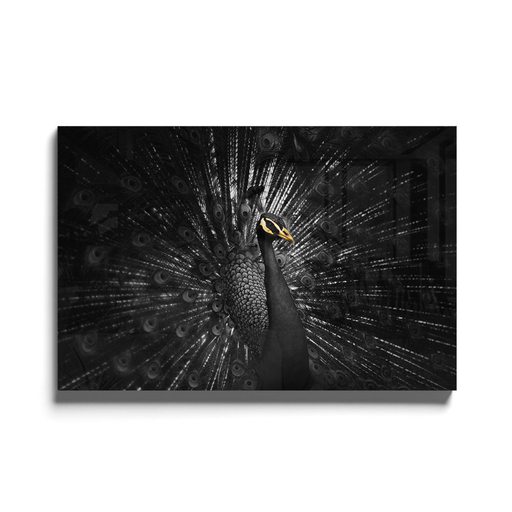 Walljar acrylglas schilderij - Golden Peacock Acrylglas schilderij - 60 x 90 cm