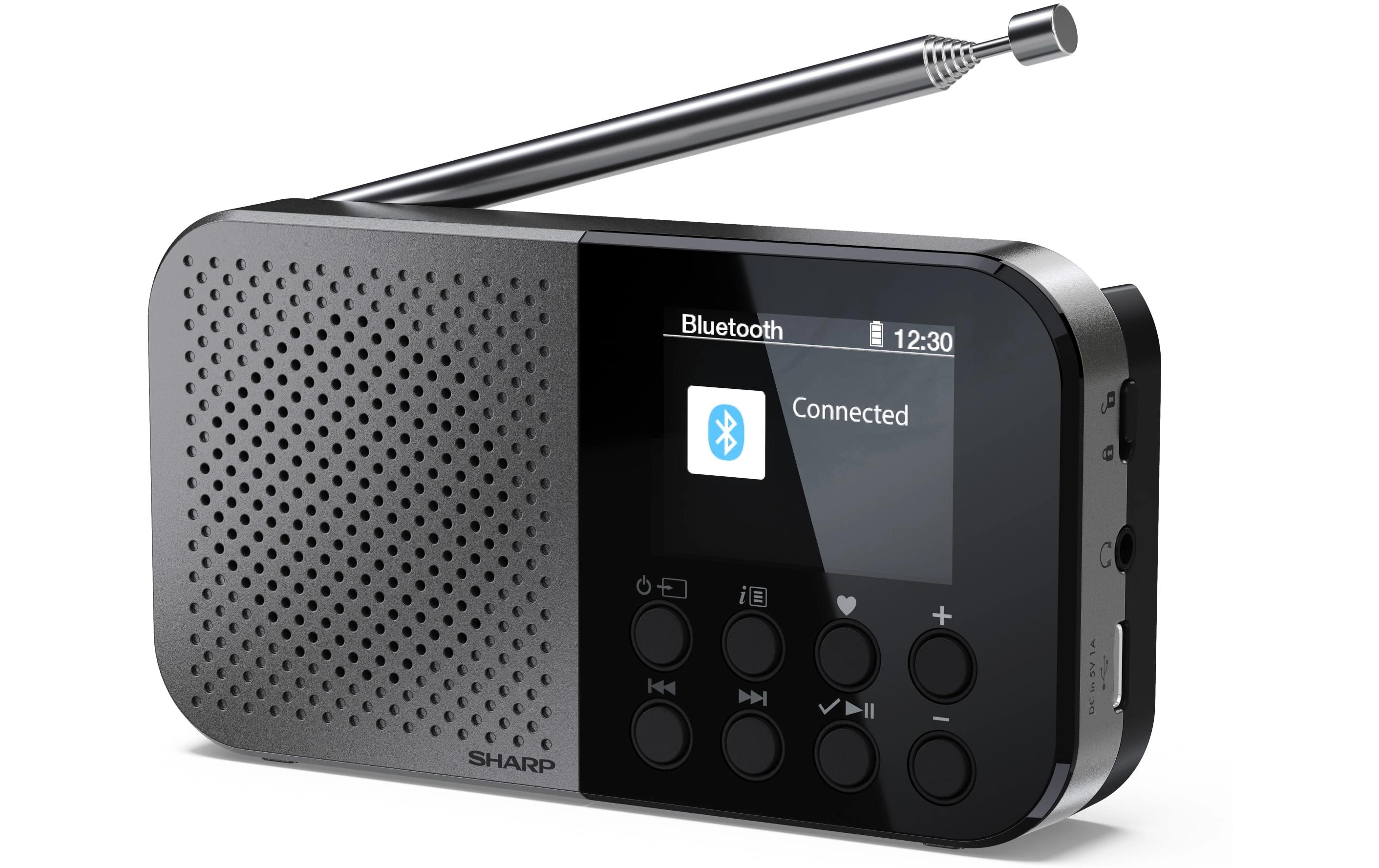 DAB+ Radio DR-P520 GrauTragbares DAB+ Handradio mit RDS