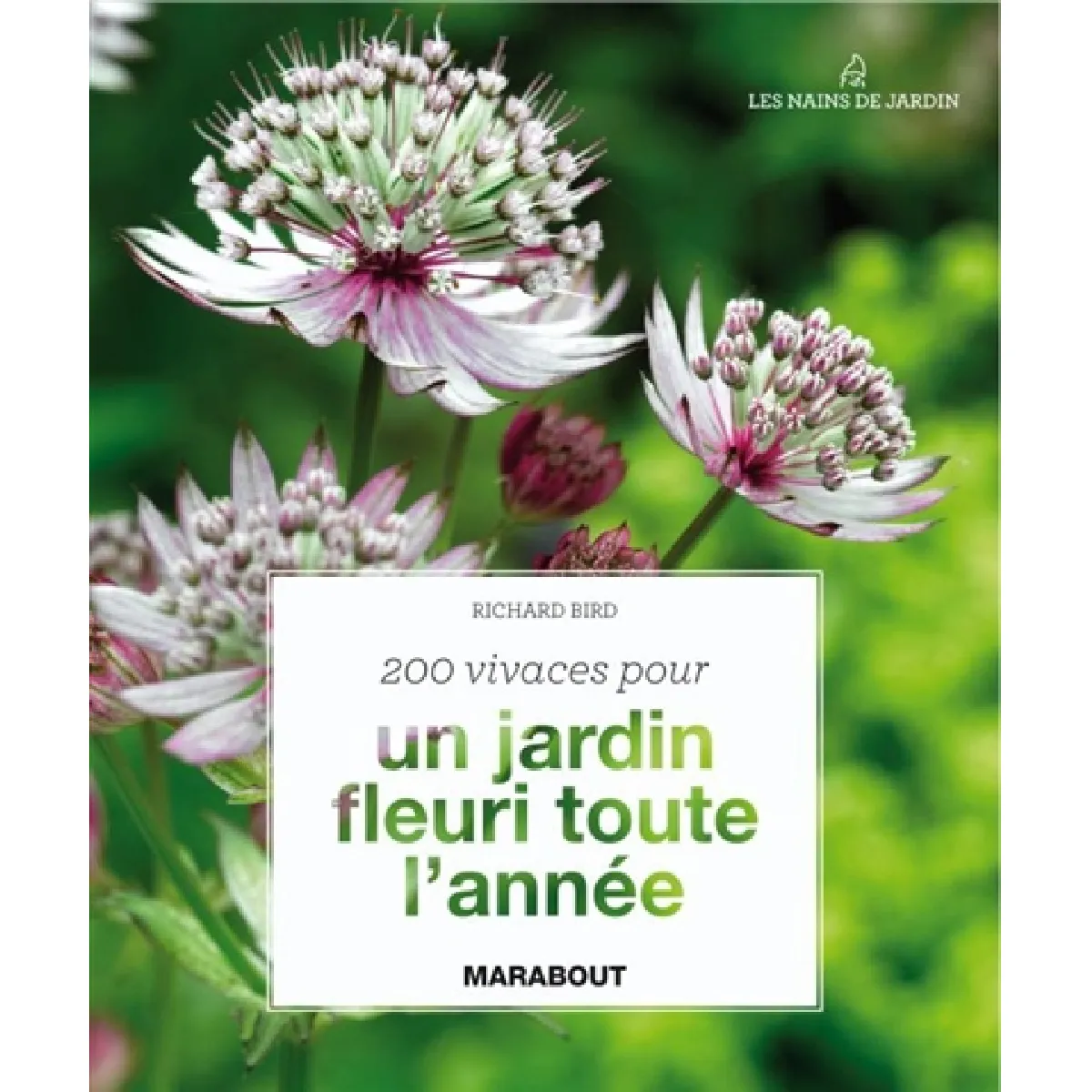 Les 200 meilleures vivaces · Occasion