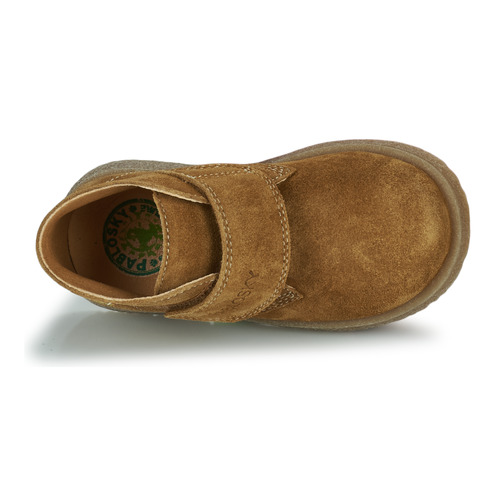 Pablosky - 506486 - Cognac