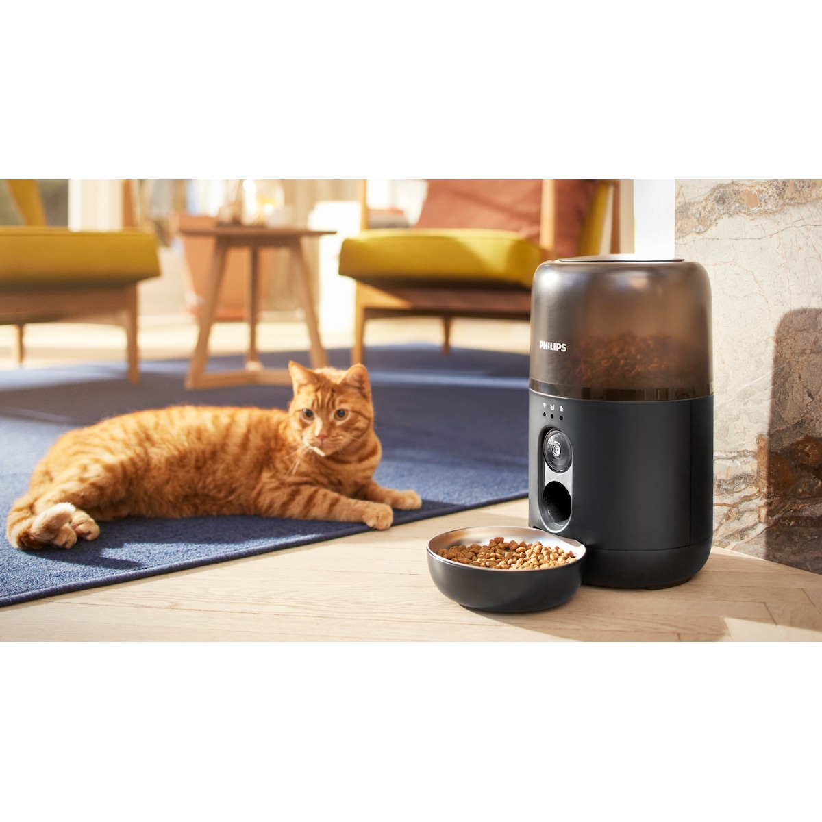 Philips Pet Series dyremater PAW5320/02 (sort)