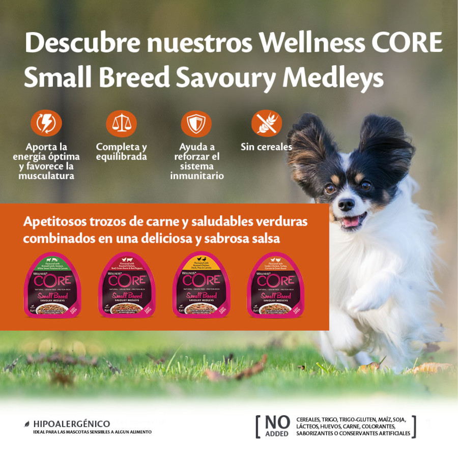 Pote de 85g de ração para cães de raças pequenas Wellness Core, sem grãos, com frango e peru.