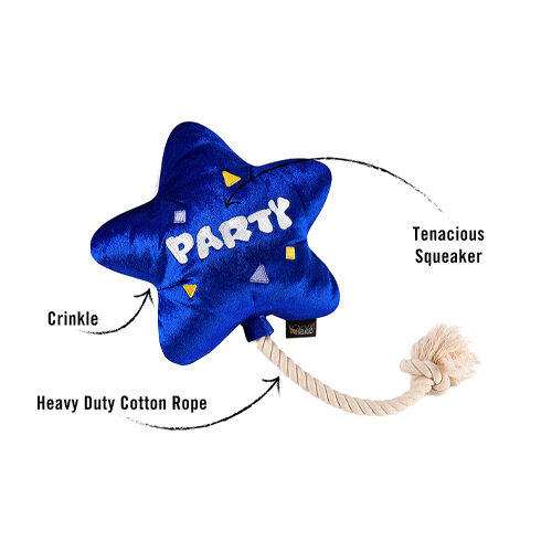 Party Time Collection - Best Day Ever Balloon