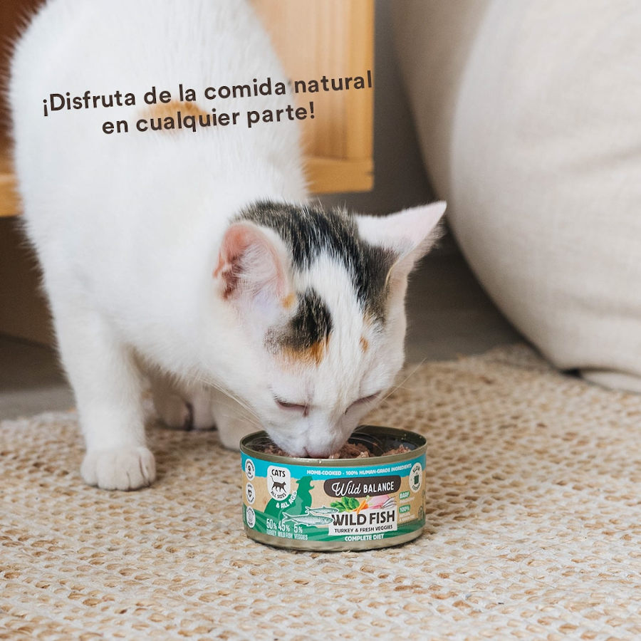 Wild Balance BARF Peixe e Peru em Lata para Gatos