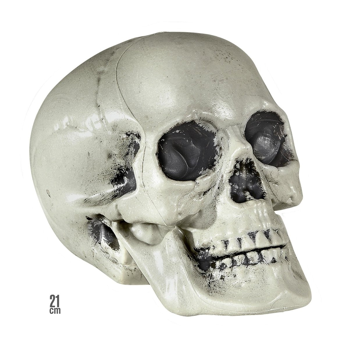 Halloween Schedel 21cm