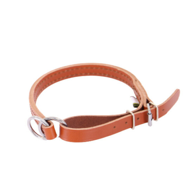Collier en cuir pour chien