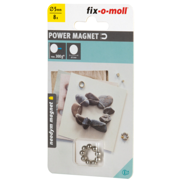 Magneet kogel Neodymium zilver 5mm 8 stuks