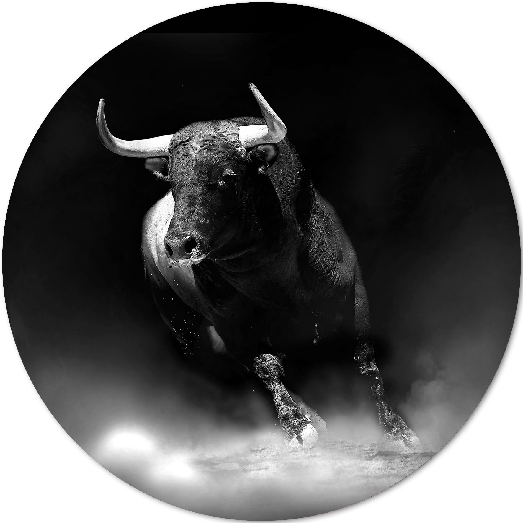 Aludibondbild FIGHTING BULL