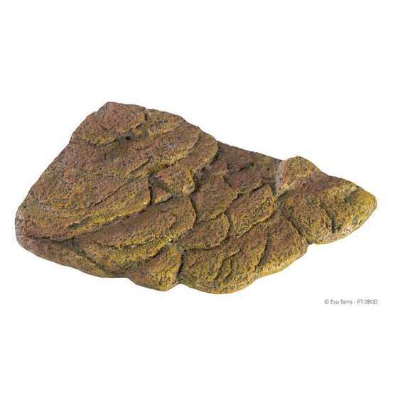 Talus Exo Tortue
