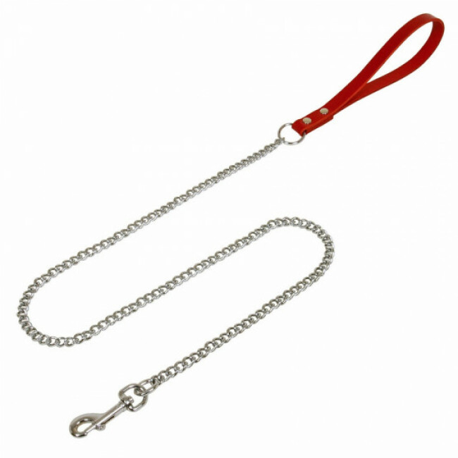 Laisse 1 m avec chaînette fine chromée pour chien