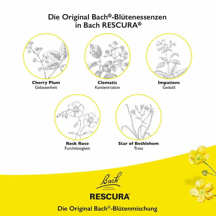 Bachblüten Original Rescura Pets Tropfen alkoholfrei vet. (für Tiere), 10 ml