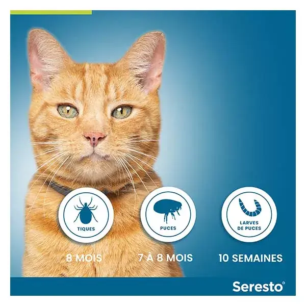 Coleira Seresto contra pulgas e carrapatos para gatos (2 unidades)