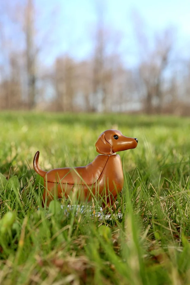 Solar Dachshund - Boudewijn (1612)