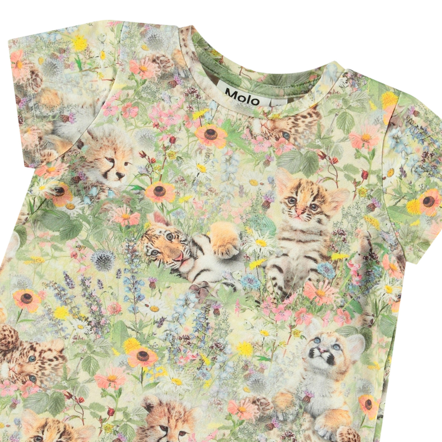 Elly - Meadow Cubs