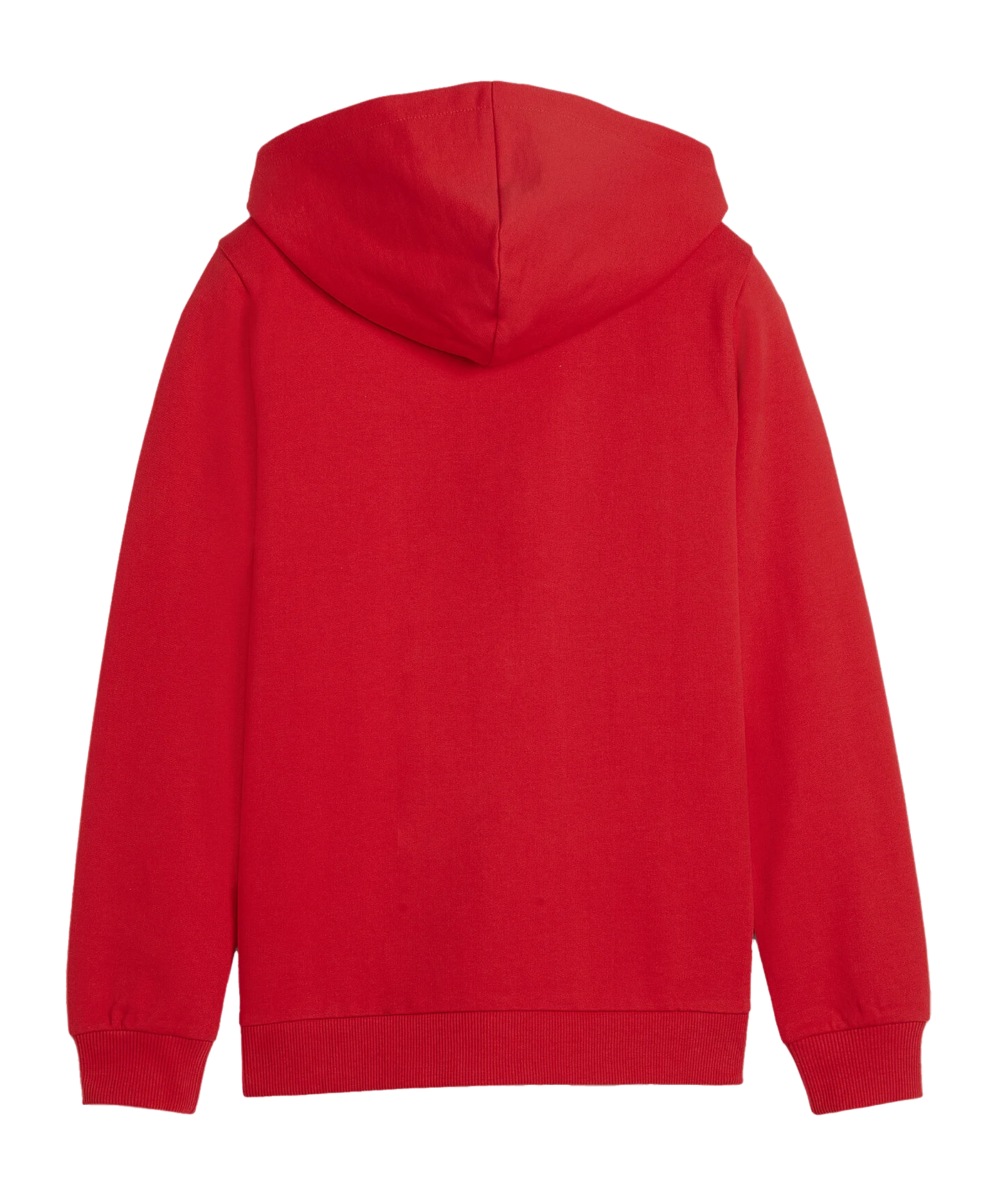 PUMA teamGOAL Casuals Kapuzenjacke Kids Rot F01