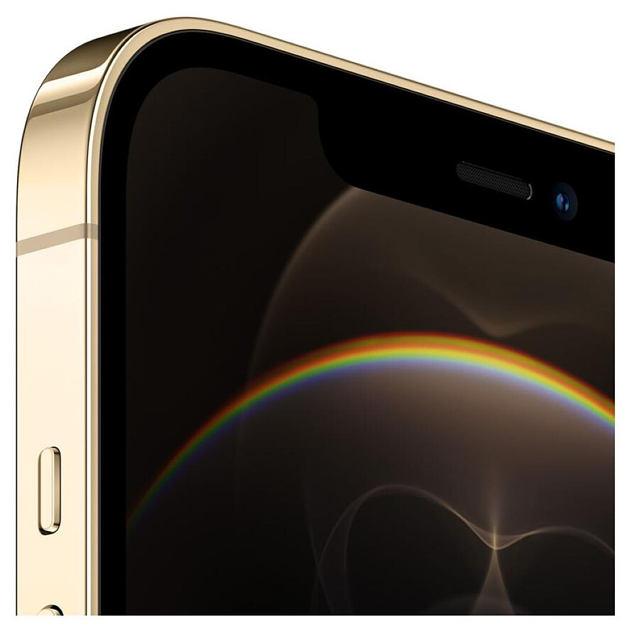 Apple iPhone 12 Pro Max (Or) - 256 Go · Reconditionné
