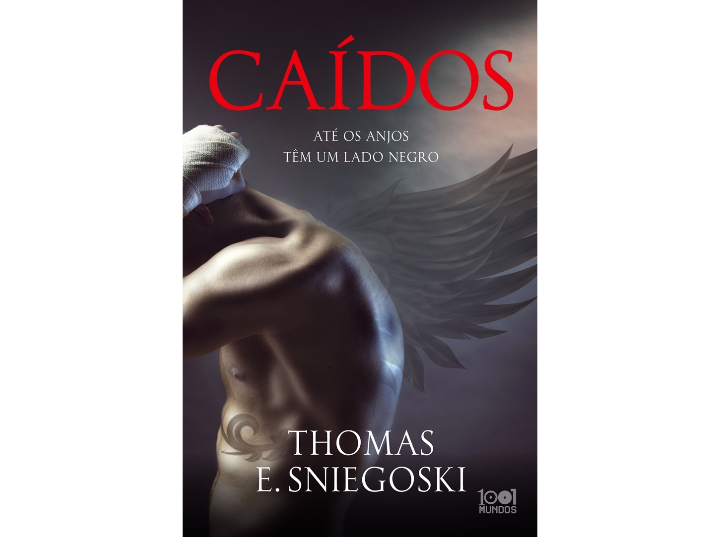 LIVRO CAÍDOS DE: THOMAS E. SNIEGOSKI