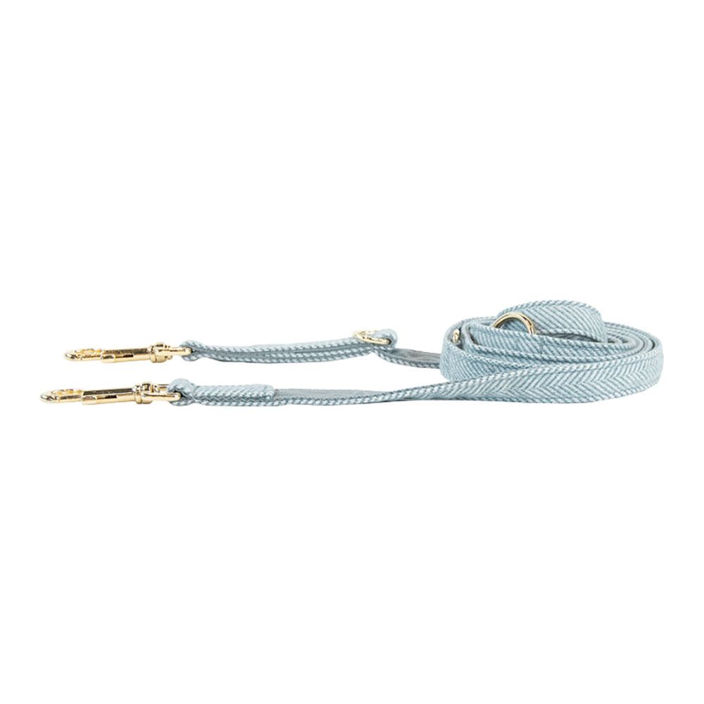 Kentucky LAINE 2M - Laisse pour chien bleu clair