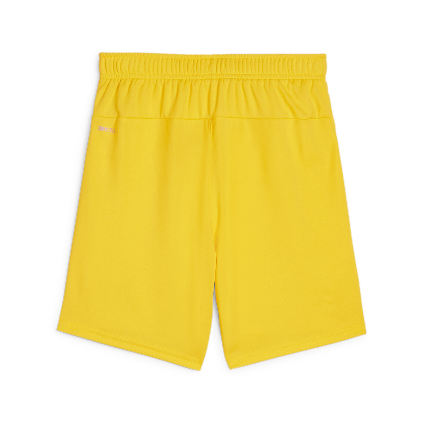 PUMA teamGOAL Matchday Voetbaltenue Kids Geel Zwart