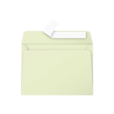 Pollen - 20 Enveloppes - 114 x 162 mm - 120 g/m² - vert bourgeon