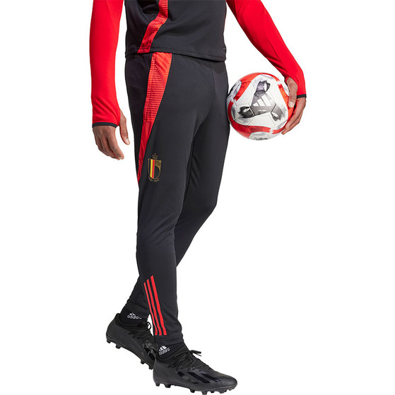 adidas België Training Pant 2024/2026