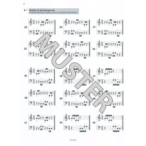 Zimmermann Verlag Hauptsache Mallets