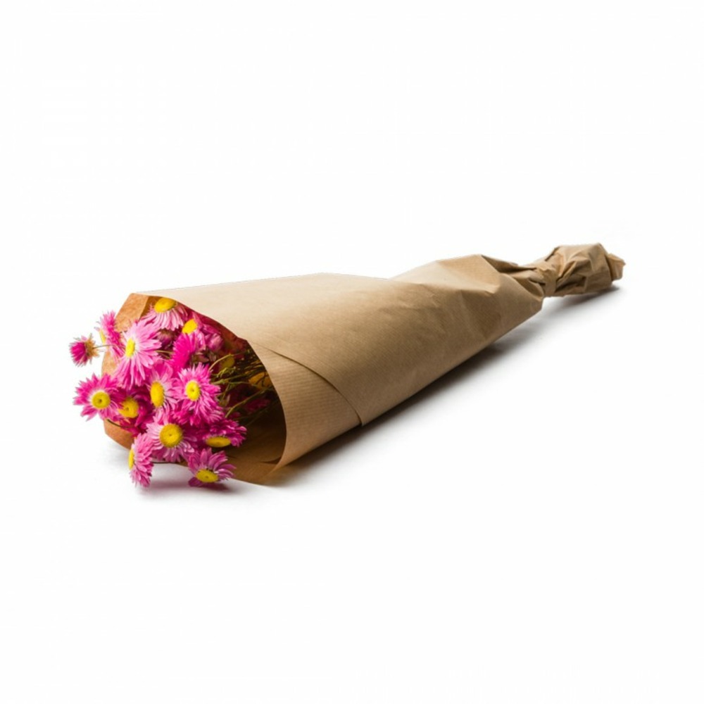 Botte de fleurs séchées acroclinium rose