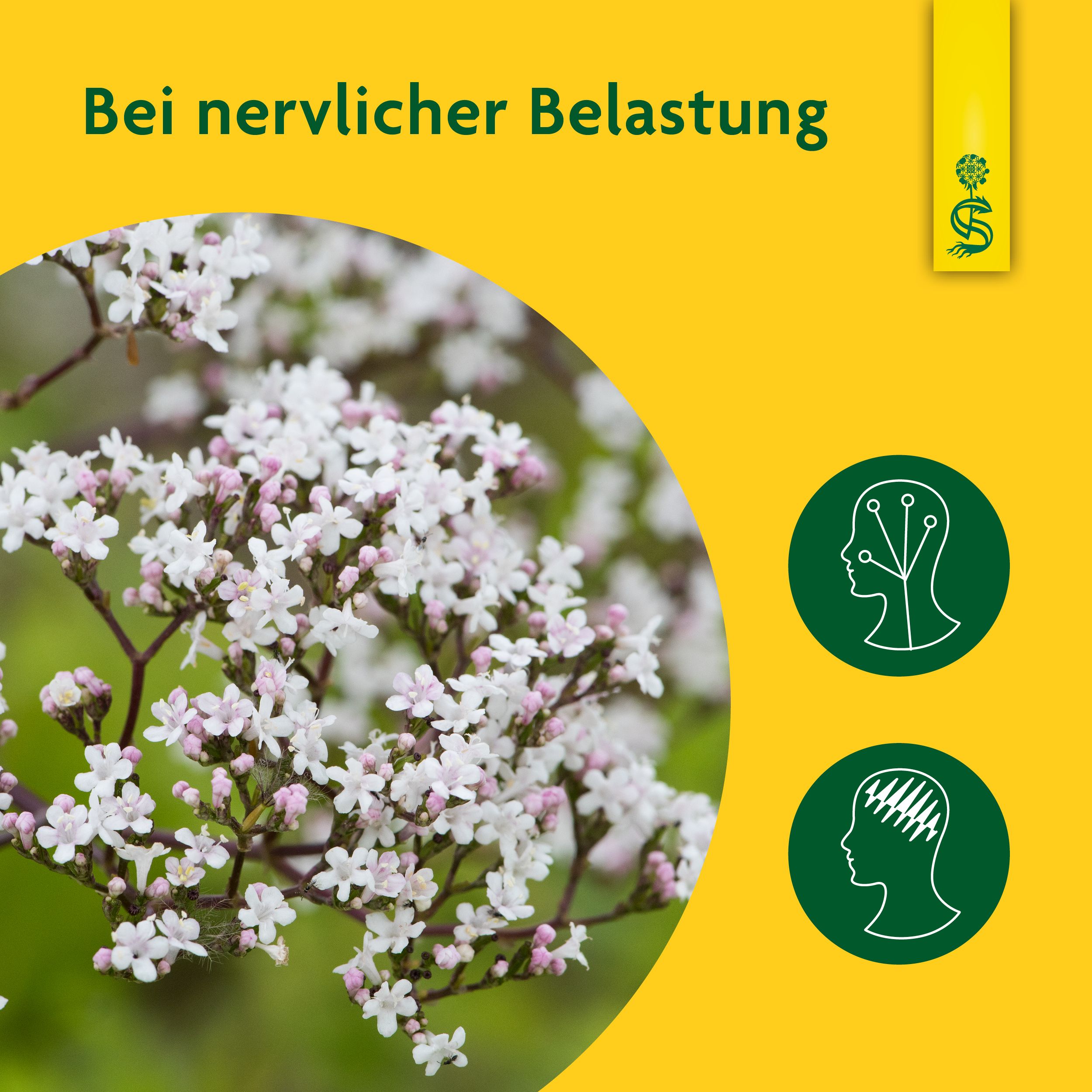 Schoenenberger® naturreiner Heilpflanzensaft Baldrian
