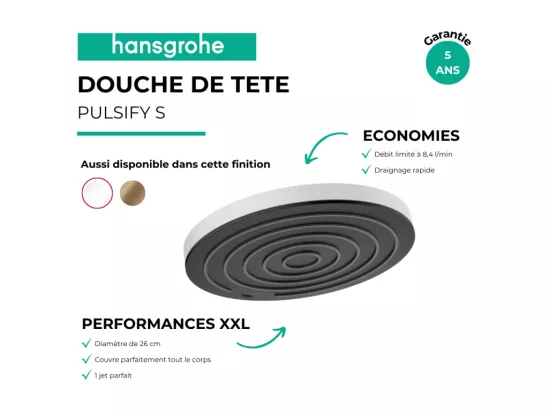 Douche de tête HANSGROHE Pulsify S 260 EcoSmart Bronze brossé