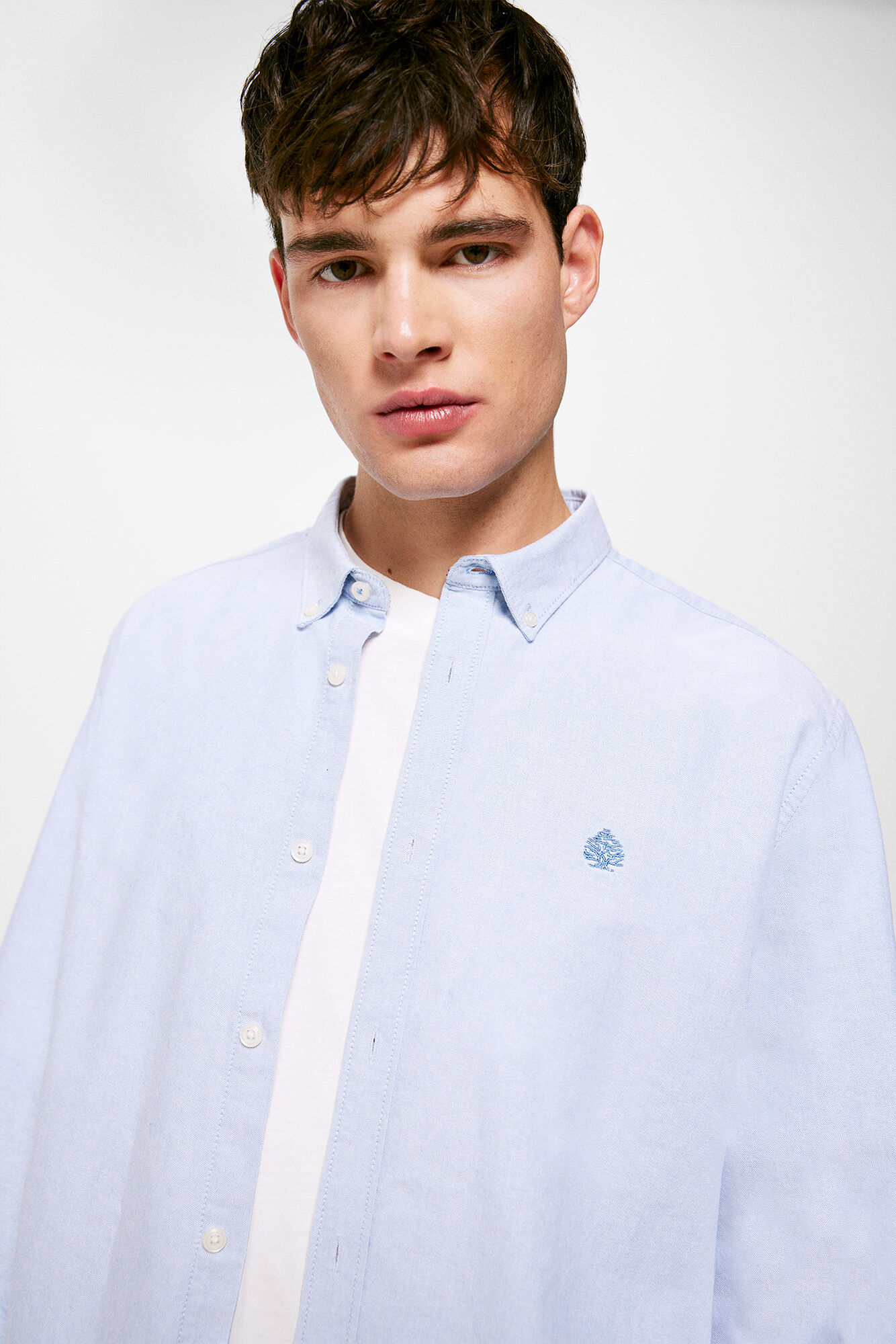 Cor da camisa Oxford