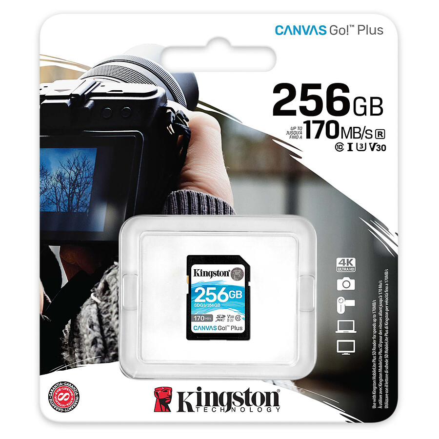 Kingston SD Plus Canvas Go! SDG3 - 256GB