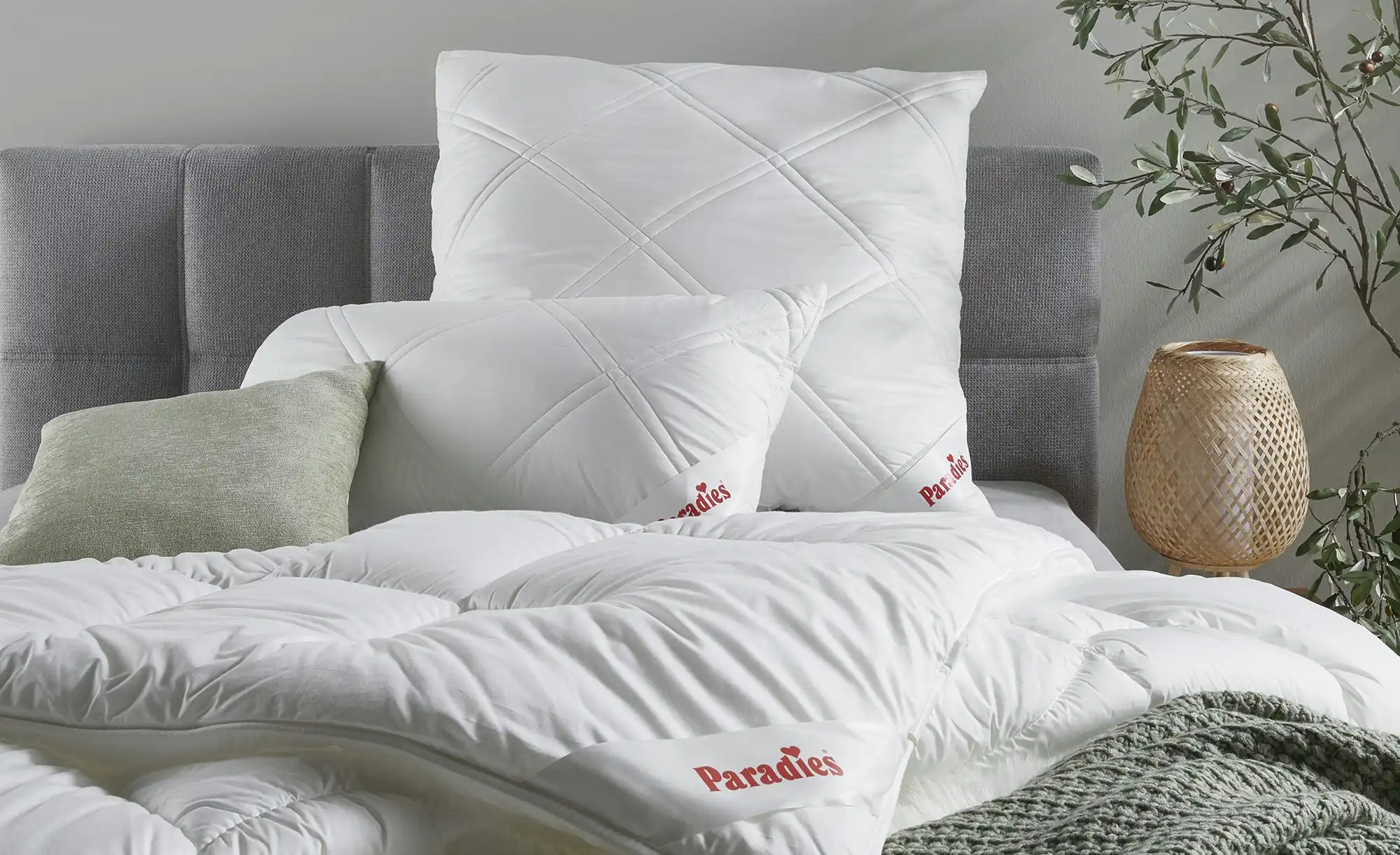 Paradies Kopfkissen Softy-Kosmo Plus Bio