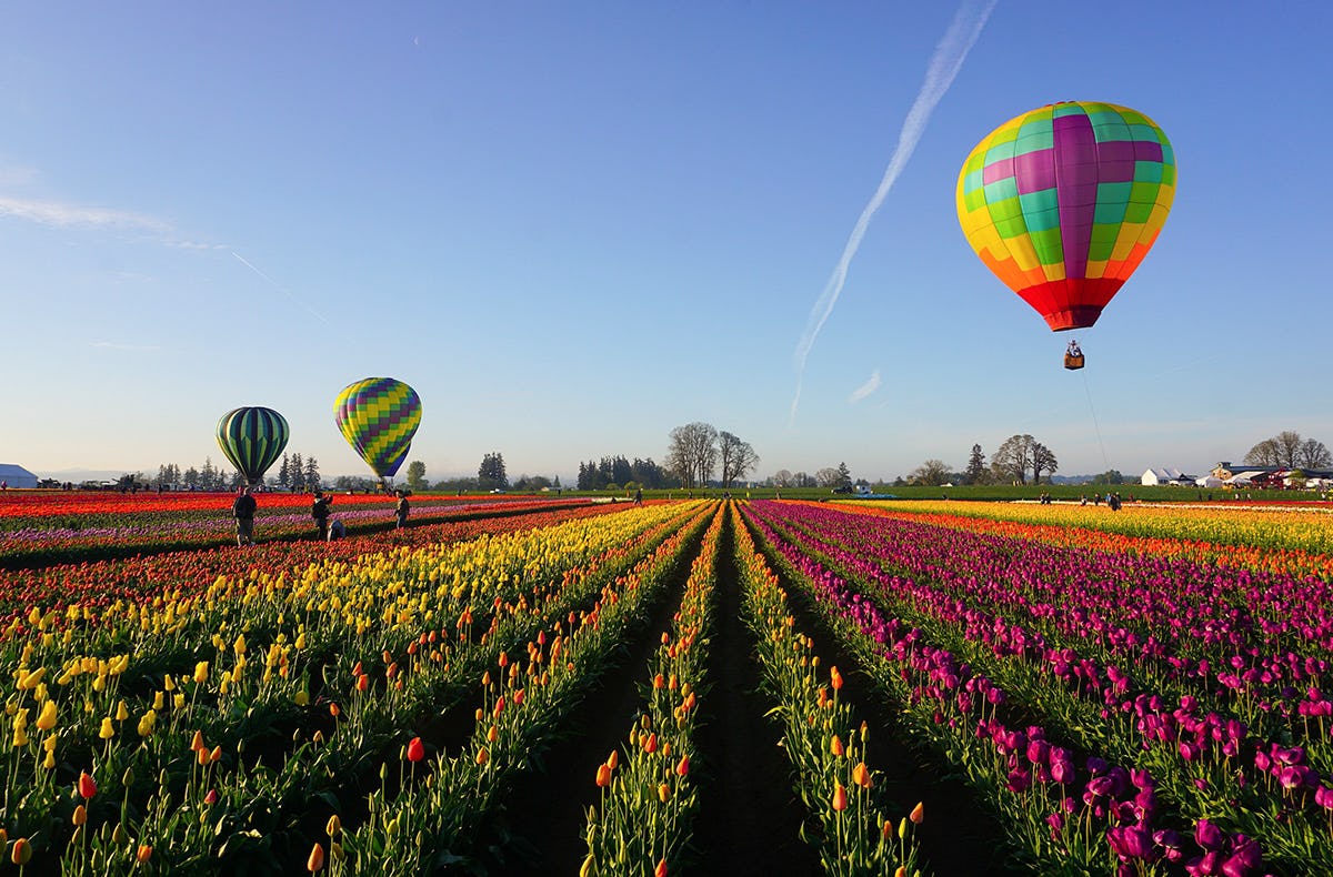 Ballonfahren Norddeutschland