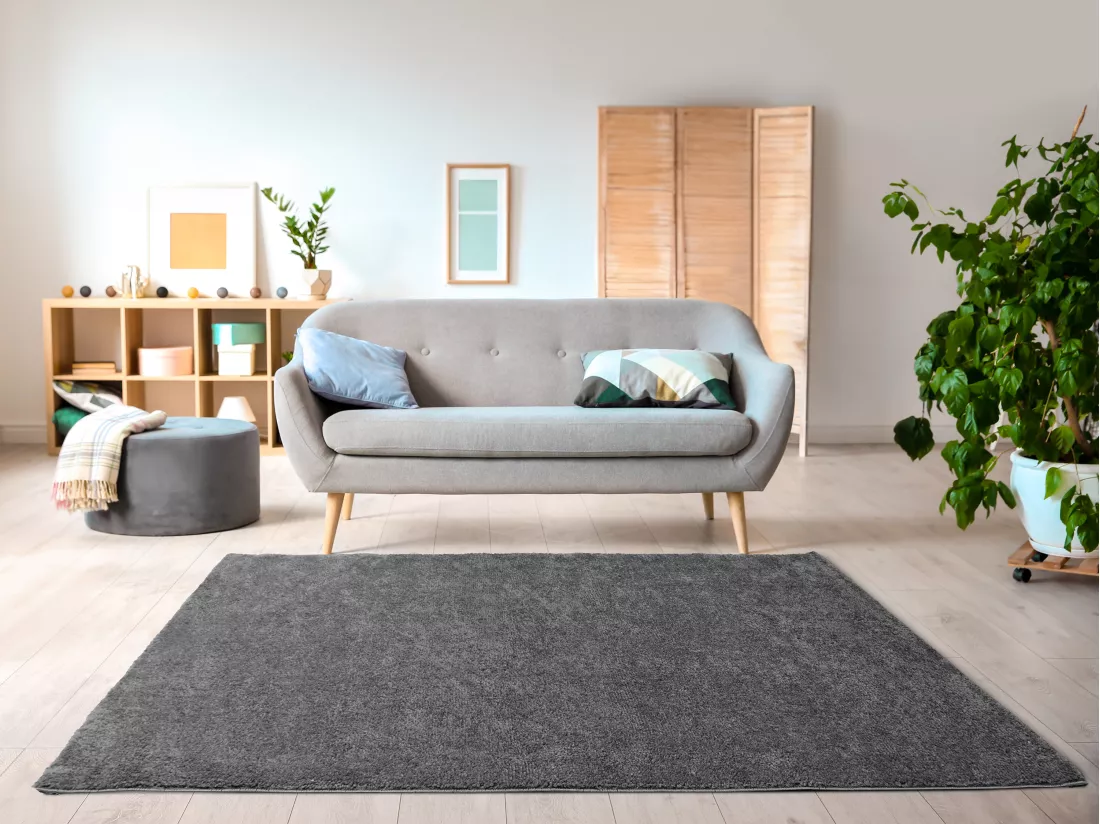Tapis shaggy à poils longs - 200 x 300 cm - Anthracite - MILINIO