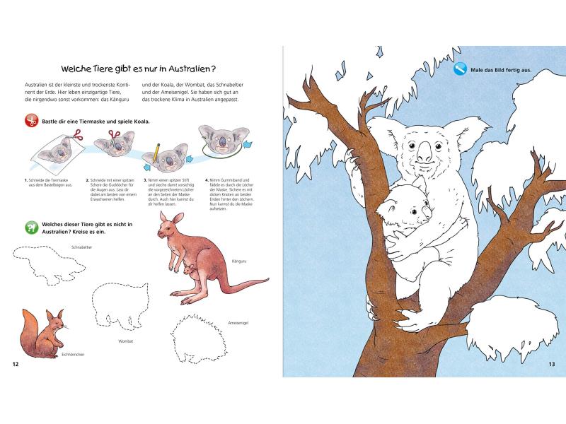 Ravensburger Kinder-Sachbuch WWW Aktiv-Heft Tiere der Welt Kinder-Sachbuch