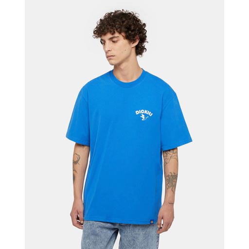 Dickies Goose T-shirt, Turkish Sea, XL