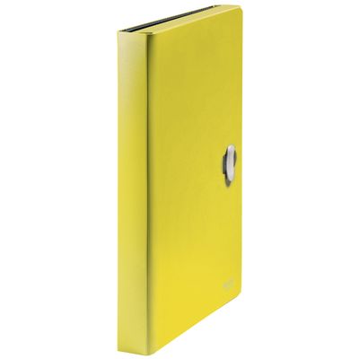 Leitz Recycle - Trieur à soufflet - 5 positions - A4 - pour 250 feuilles - à onglets - jaune