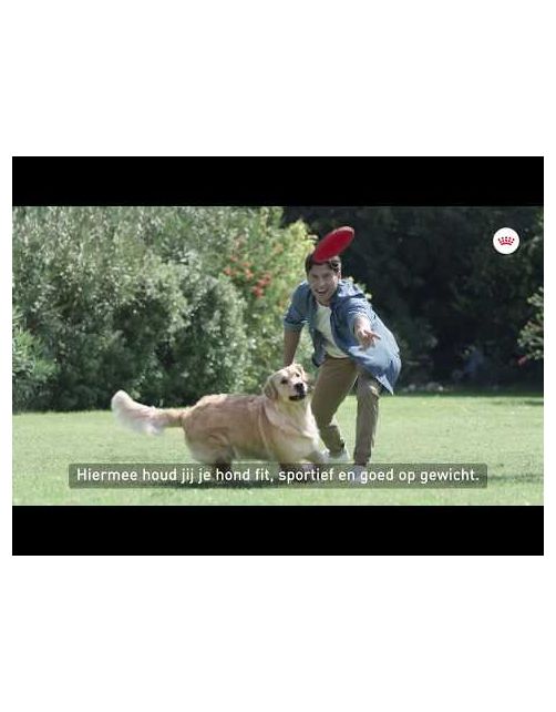 Royal Canin Light Weight Care Mini - Hondenvoer