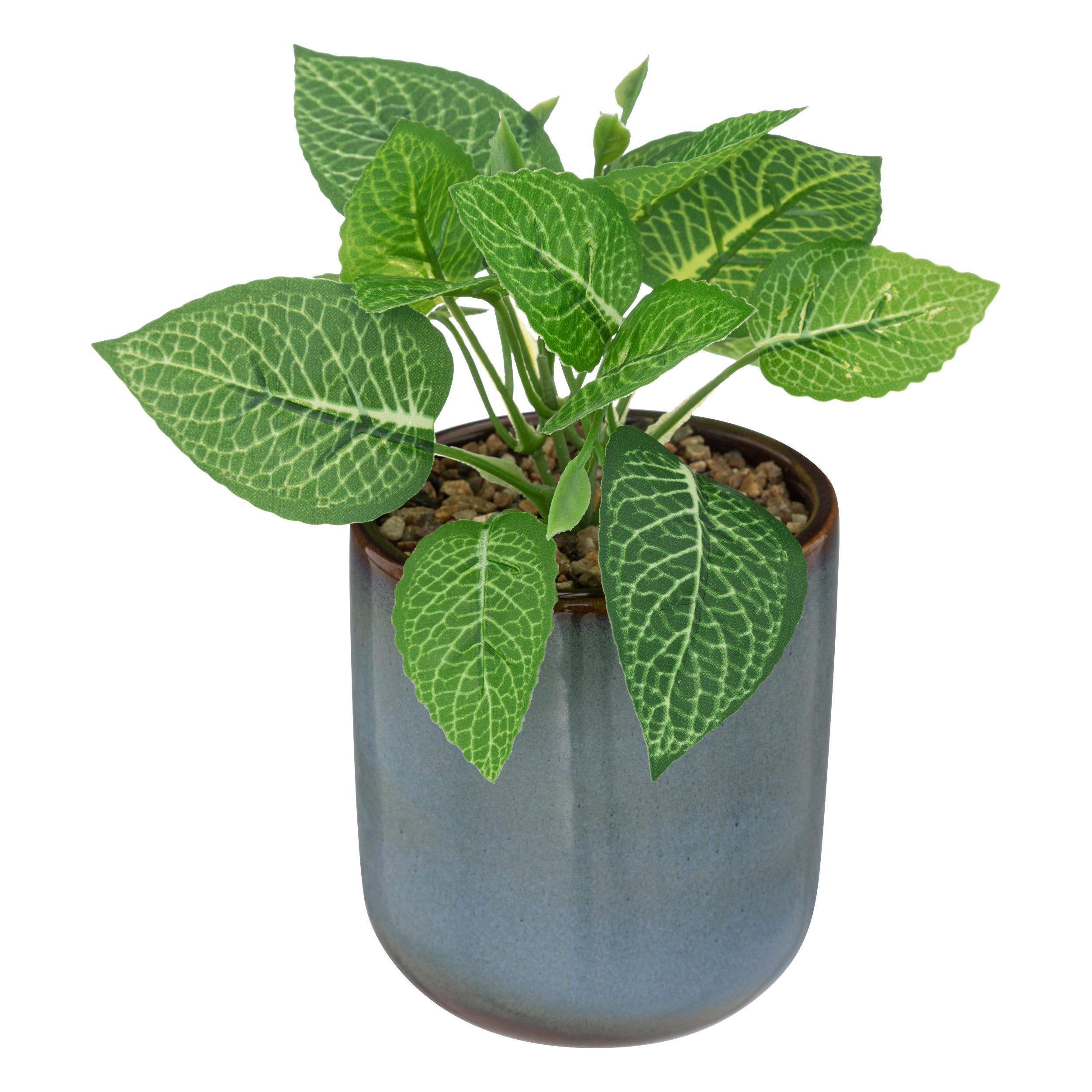 PLANTE POT CERAMIQUE REAC AZUR H.19CM