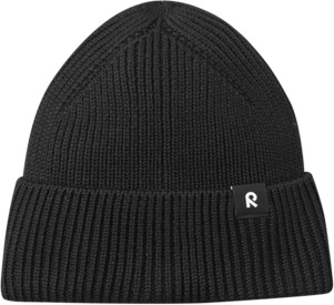 Reissari