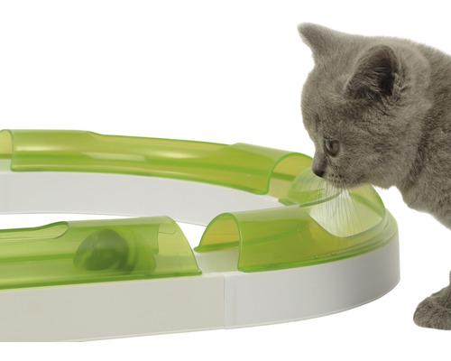 Spel rail kat het Senses 2.0 Speel Circuit