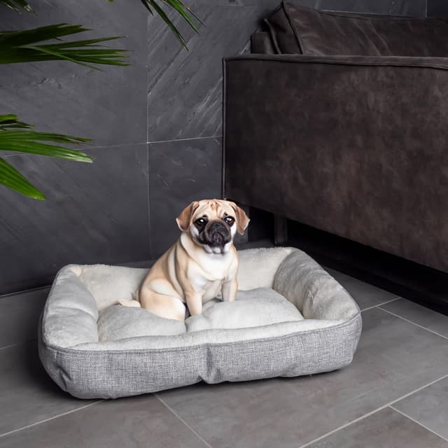 Hundeseng Katteseng Pude Hund Kat Sofa (60x47x13cm)
