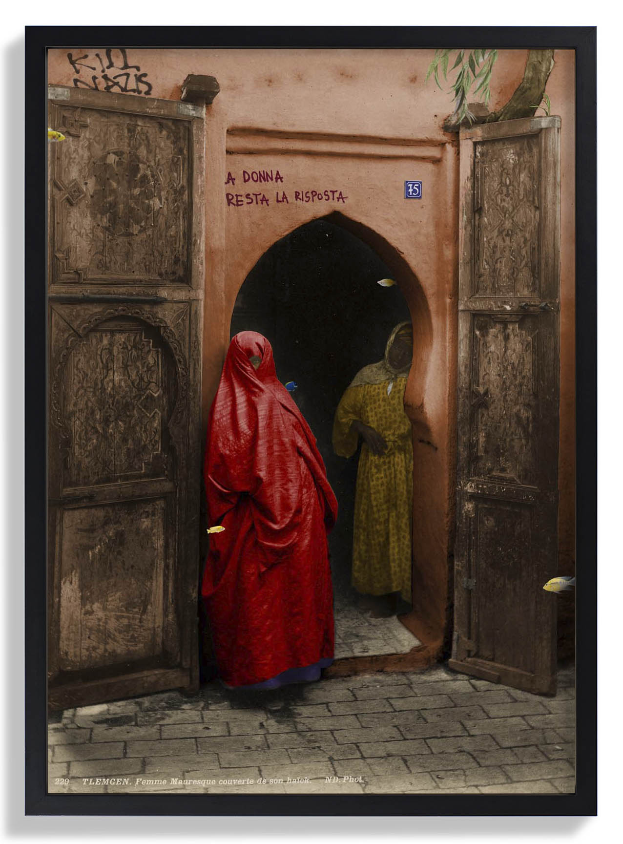 Tlemcen von corentin sauvage