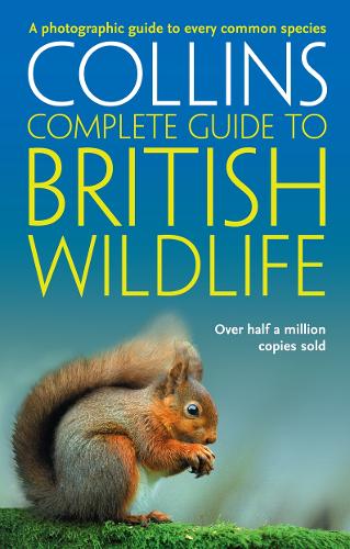 British Wildlife: A Photographic Guide to Every Common Species - Collins Complete Guide (Paperback)