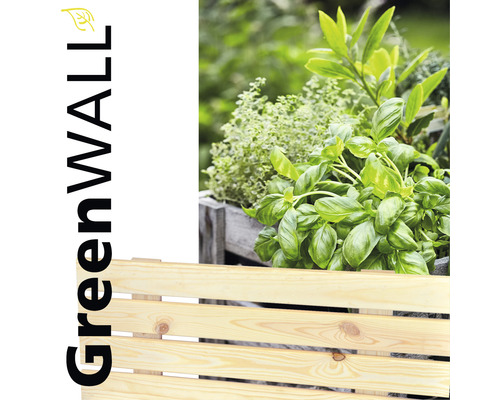 Designelement Wagner System Greenwall 79 x 31 cm grenen