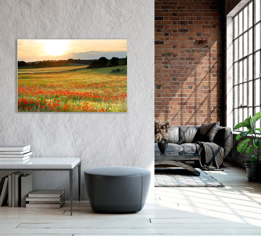Akustikbild WIESE MIT MOHN 80x120cm, 7kg
