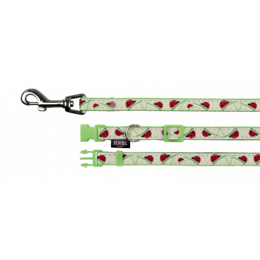 Collier réglable de 22 à 33 cm, couleur phosphorescent avec laisse chat